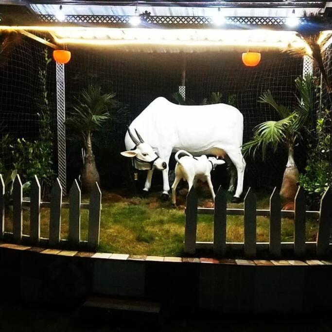 Saifarms Private Farmhouse Between Pune & Lonavala Nethersole Dam Exterior foto