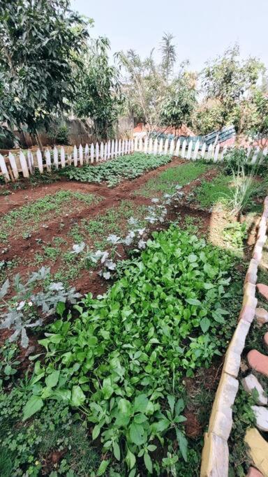 Saifarms Private Farmhouse Between Pune & Lonavala Nethersole Dam Exterior foto